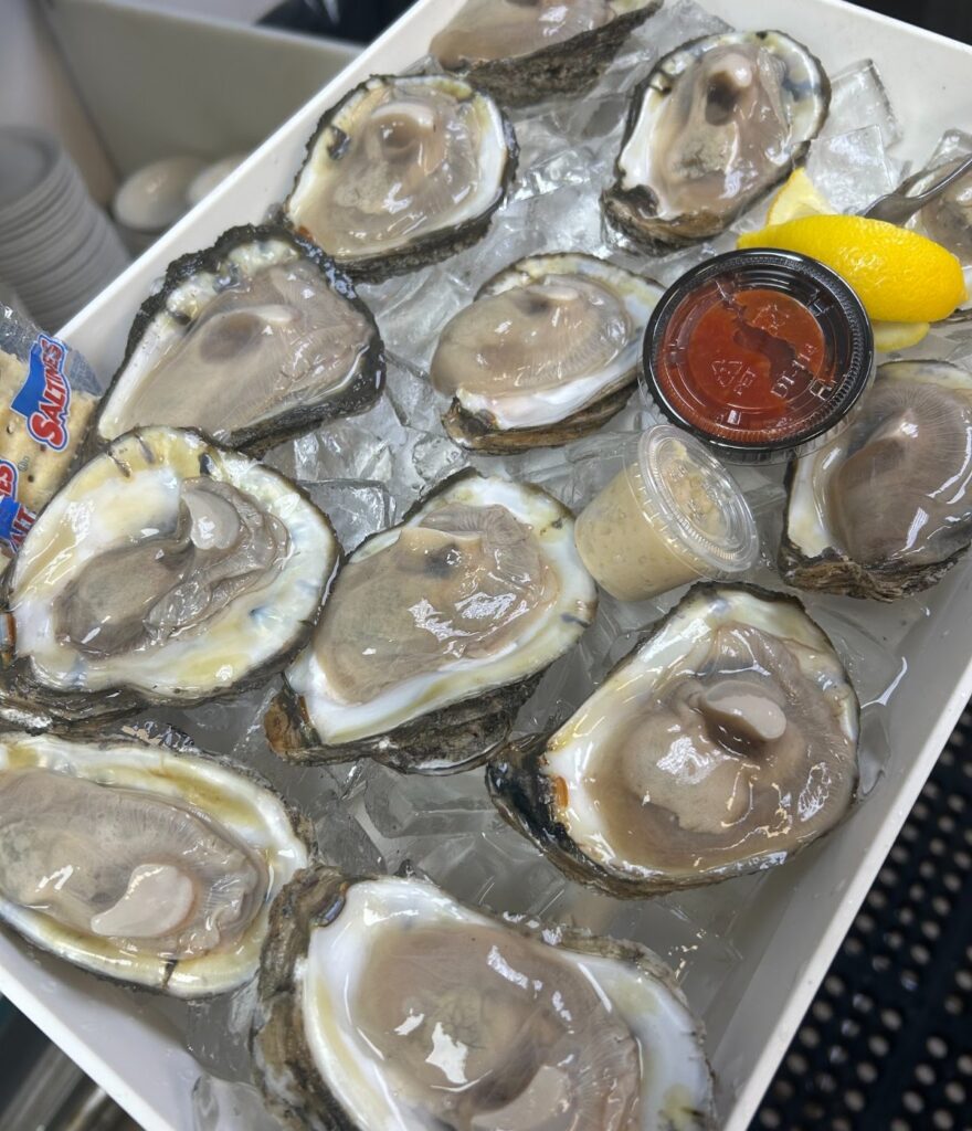 Dozen raw oysters on the half shell with cocktail sauce and lemon